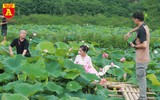 Thiếu nữ Hà thành nô nức khoe sắc cùng mùa sen nở